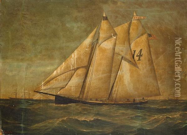 Pilot Boat 14 - The E.f. Williams Oil Painting - Conrad Freitag
