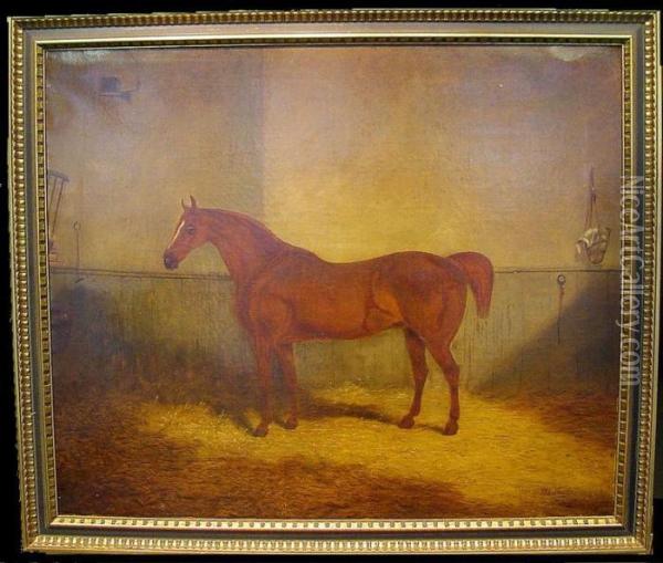 Horse In A Stable Oil Painting - Richard Whitford
