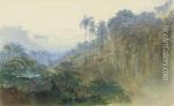 Adam's Peak, Ratnapura, Ceylon (sri Lanka) Oil Painting - Edward Lear