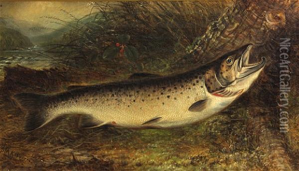 Trout On A River Bank Oil Painting - Samuel A. Kilbourne