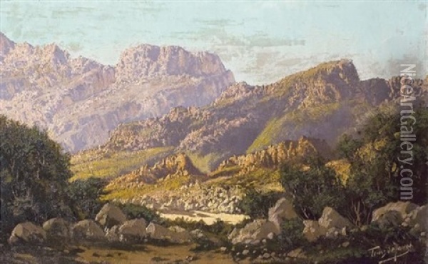 A Cedarberg Landscape Oil Painting - Tinus de Jongh