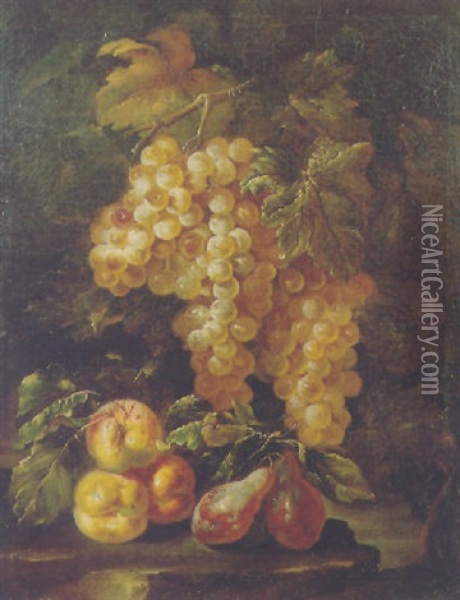 Bunches Of Grapes Hanging From A Vine With Peaches And Plums On A Rock Oil Painting - Giovanni Paolo Castelli (lo Spadino)