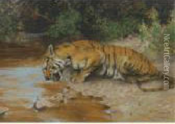 Tiger Drinking Oil Painting - Arthur Wardle