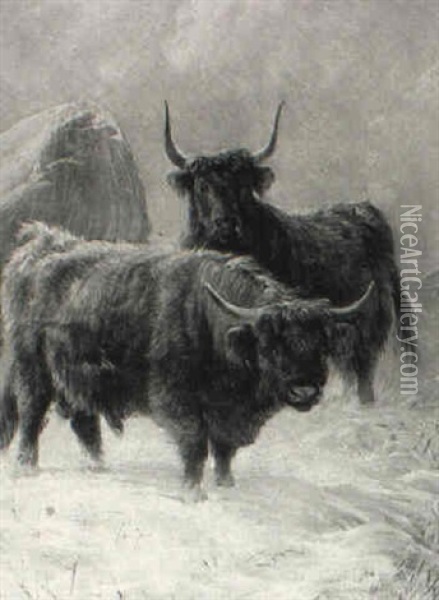 Highland Cattle In Winter Oil Painting - Charles Jones