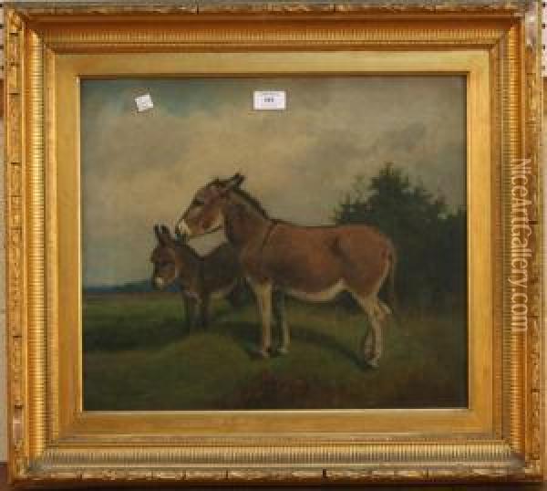 Landscape With Two Donkeys Standing In Profile Oil Painting - Arthur Batt