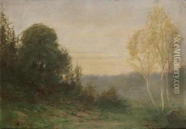 A Landscape Oil Painting - Theodor Hilser