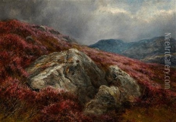 Heather On A Hillside Oil Painting - James Faed