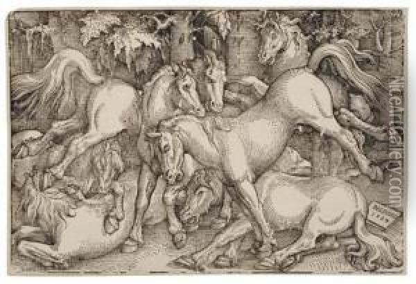 Group Of Seven Wild Horses Oil Painting - Hans Baldung Grien