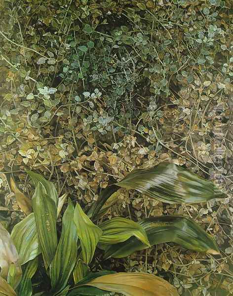 Two Plants Oil Painting - Lucian Freud