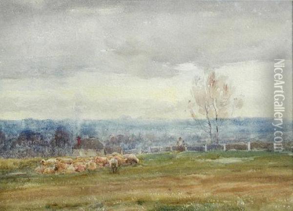 Sheep Grazing At A Downland Farm Oil Painting - Claude Hayes