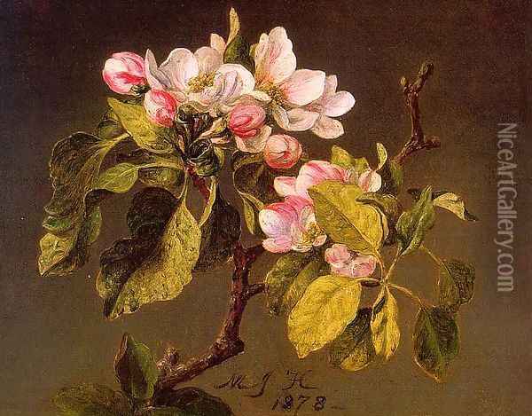Apple Blossoms Oil Painting - Martin Johnson Heade