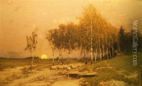 Sheep In A Wood At Sunset Oil Painting - Robert Kluth