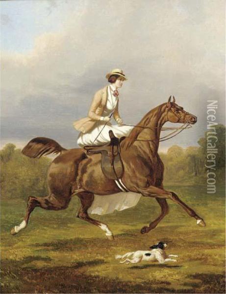 A Lady Riding Side Saddle Oil Painting - Alfred De Dreux