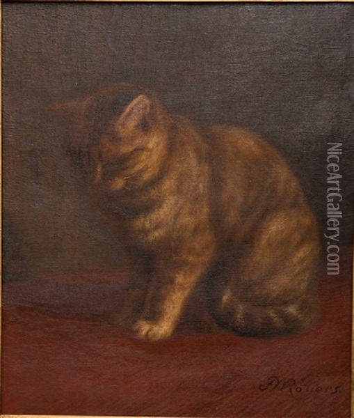 Portrait Of A Cat Oil Painting - Franklin Whiting Rogers