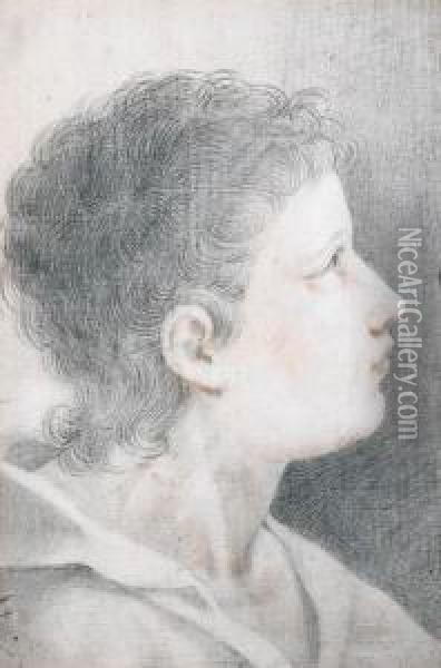 Study Of A Boy's Head Oil Painting - Benedetto Luti