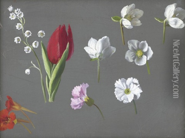 Studie Mit Kapuzinerkresse, Roter Tulpe Und Maiglockchen Oil Painting - Emmery Rondahl