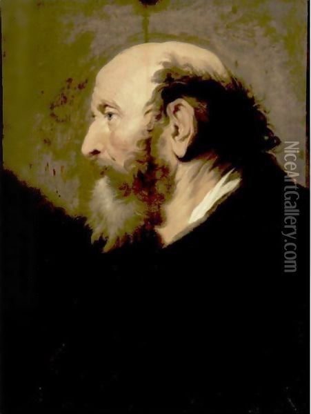 Profile Portrait Of A Bearded Man Oil Painting - Jacob Adriaensz Backer
