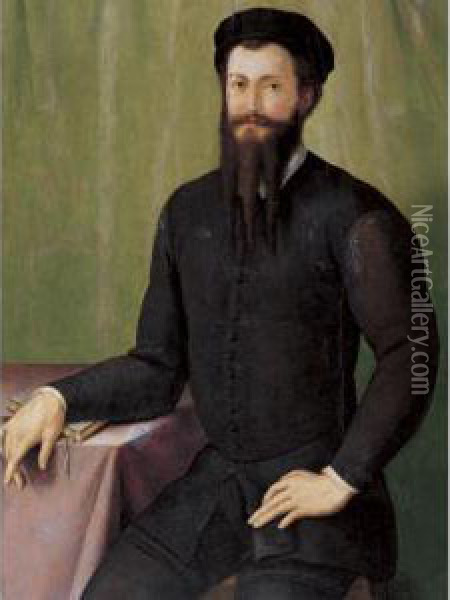 Portrait Of A Gentleman Oil Painting - Pier Francesco Foschi