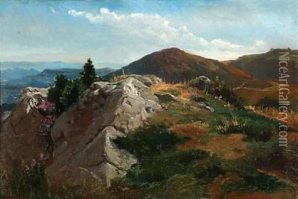 View Of A Hilly Landscape In Sunshine Oil Painting - August Friedrich Albrecht Schenck