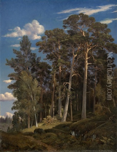 Pine Forest Oil Painting - Iwan Iwanowicz Shishkin