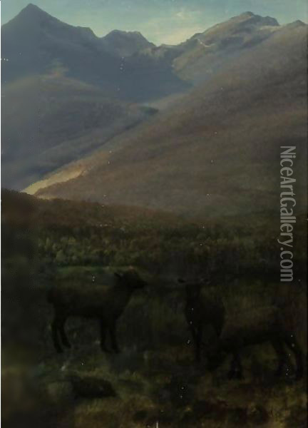 White Mountains Near Glen House Oil Painting - Albert Bierstadt