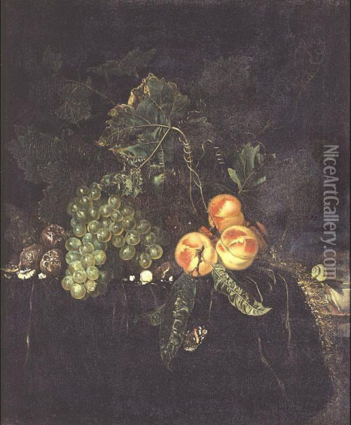 Still Life With Peaches, Grapes On A Draped Ledge With A Snail And Butterfly Oil Painting - Nicolaes Lachtropius