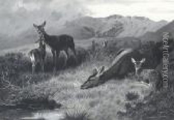 Hinds With Fawns At Rest Oil Painting - Archibald Thorburn