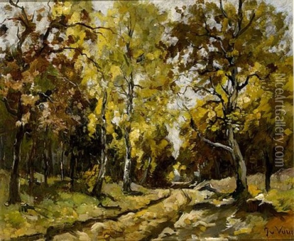 An Autumn Forest Oil Painting - Jan van Vuuren
