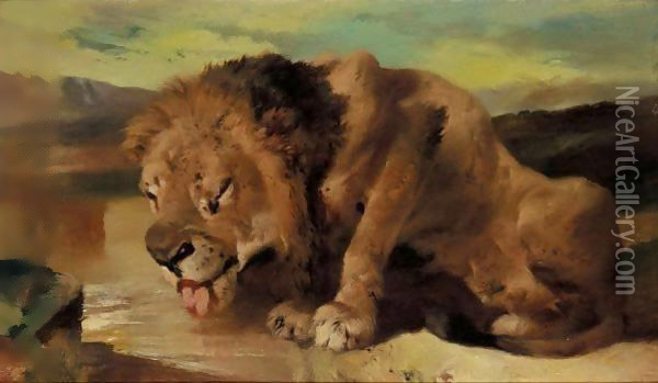 Lion Drinking At A Stream Oil Painting - Sir Edwin Henry Landseer