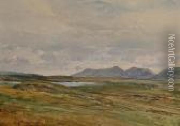An Extensive Landscape With A View Towards Mountains. Oil Painting - Heywood Hardy