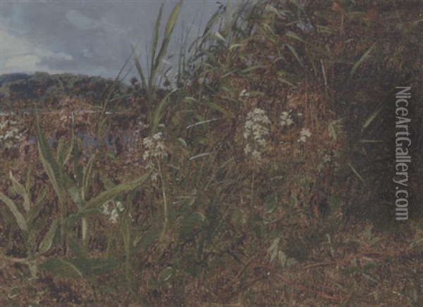 Vildtvoksende Orkideer Oil Painting - Dankvart-Christian-Magnus Dreyer