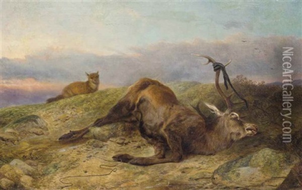 Dead Stag With A Fox In A Field Oil Painting - Richard Ansdell