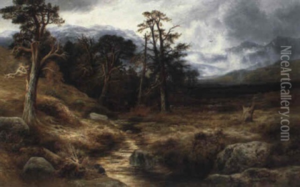 In The Forest Of Ennich Among The Grampians Oil Painting - William Beattie Brown