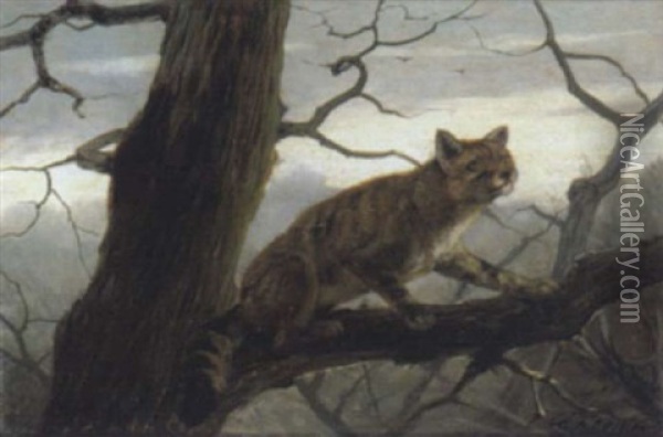 Wildkatze Im Geast Eines Baumes Oil Painting - Carl Friedrich Deiker