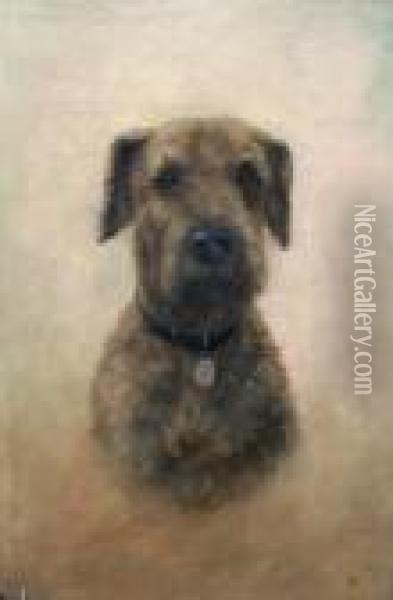 The Head Of A Terrier, Thought To Be An Irish Terrier Oil Painting - Bessie, Betsie Bamber