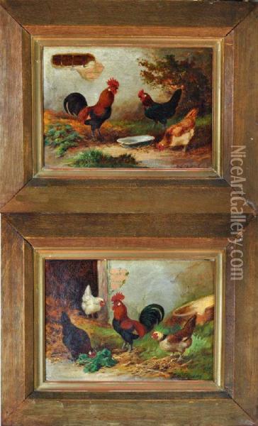 Poultry Studies Oil Painting - E.S. England