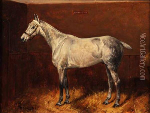 Study Of The Horse, Shamrock, In A Stable Oil Painting - George Paice