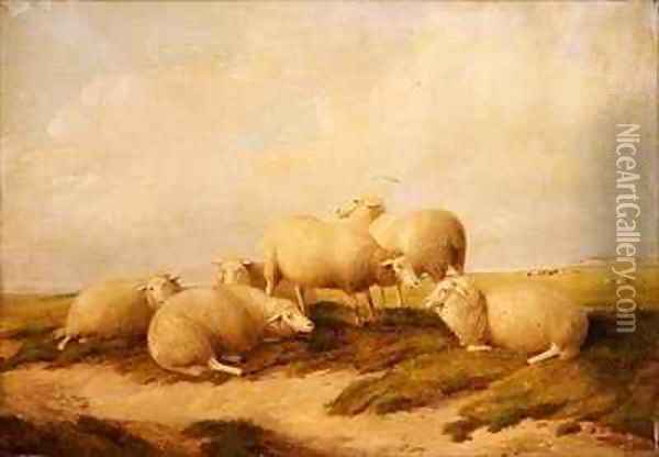 Sheep Oil Painting - Thomas Sidney Cooper