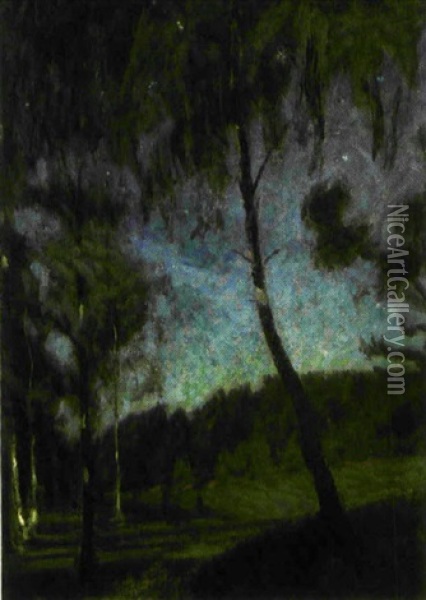 Bjorkar I Manljus - Motiv Fran Tyreso Oil Painting - Richard (Sven R.) Bergh