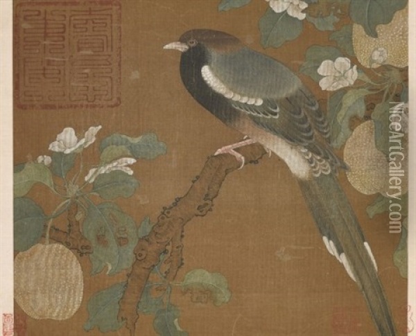 Bird On Pear Blossoms Oil Painting -  Emperor Huizong