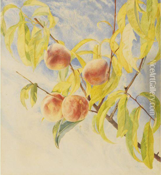 Peaches Oil Painting - Henry Roderick Newman