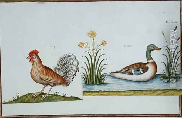 A Cockerel and a Mallard Oil Painting - Nicolas Robert