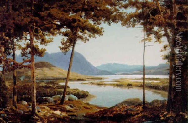 Parti Fra Ringerige Oil Painting - Reinholdt Fredrik Boll