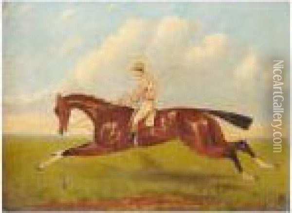 Racehorse And Jockey Oil Painting - Francis Calcraft Turner