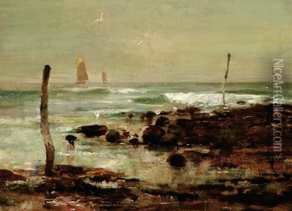 Seagulls On The Coast Oil Painting - Edwin John Ellis