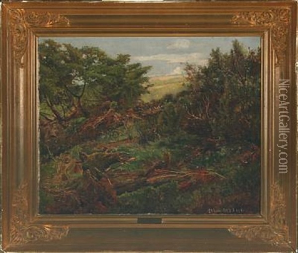 Enebaerbuske Oil Painting - Janus la Cour