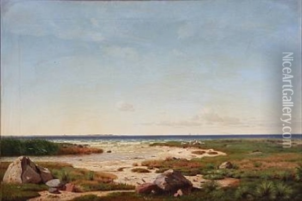 Coastal Scene From Denmark With Grazing Sheeps Oil Painting - Hans Gabriel Friis