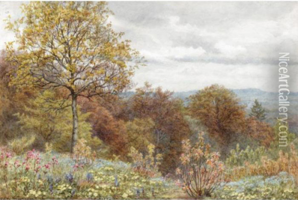 A Copse On The Slope Of Blackdown, Dorsetshire Oil Painting - Edith Martineau