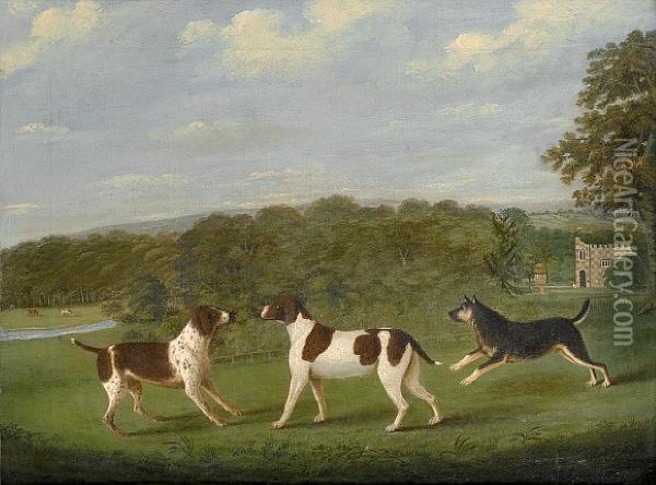 Three Dogs In A Landscape Before A Countryhouse Oil Painting - J. Bryan