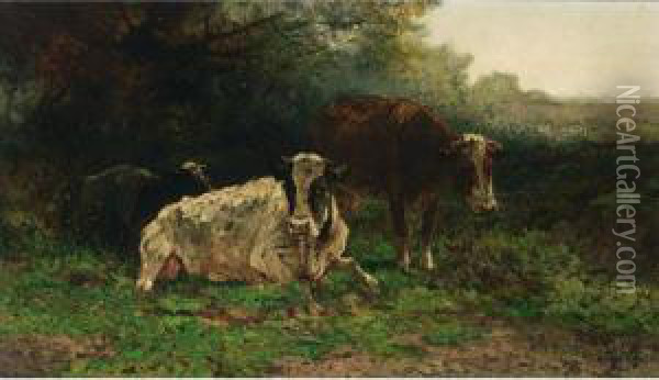Resting Cows Oil Painting - Hendrikus Alexander Van Ingen